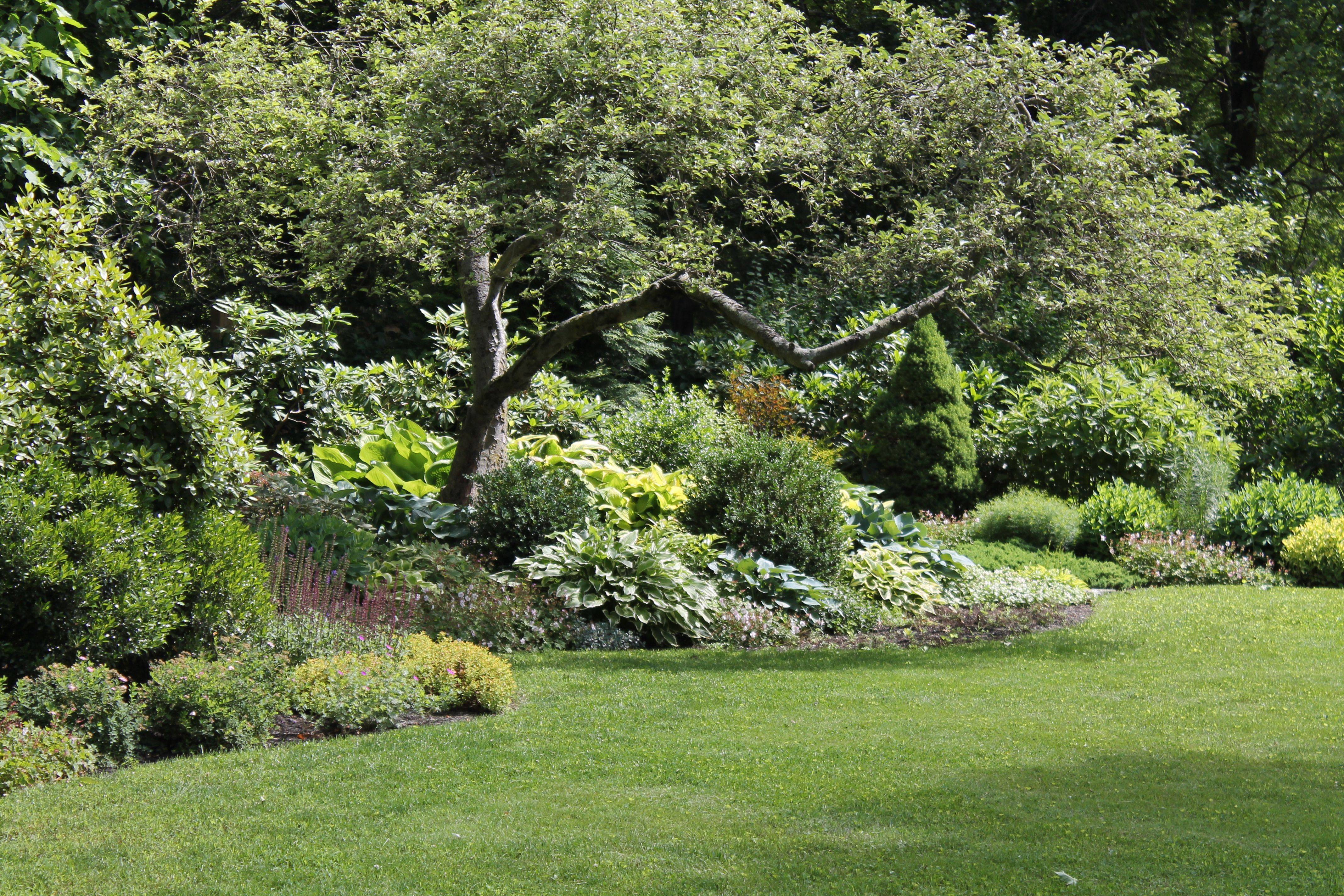 Mixed Border Front Yard Landscaping Design