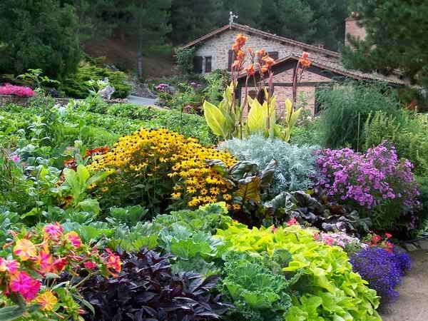 Your Garden
