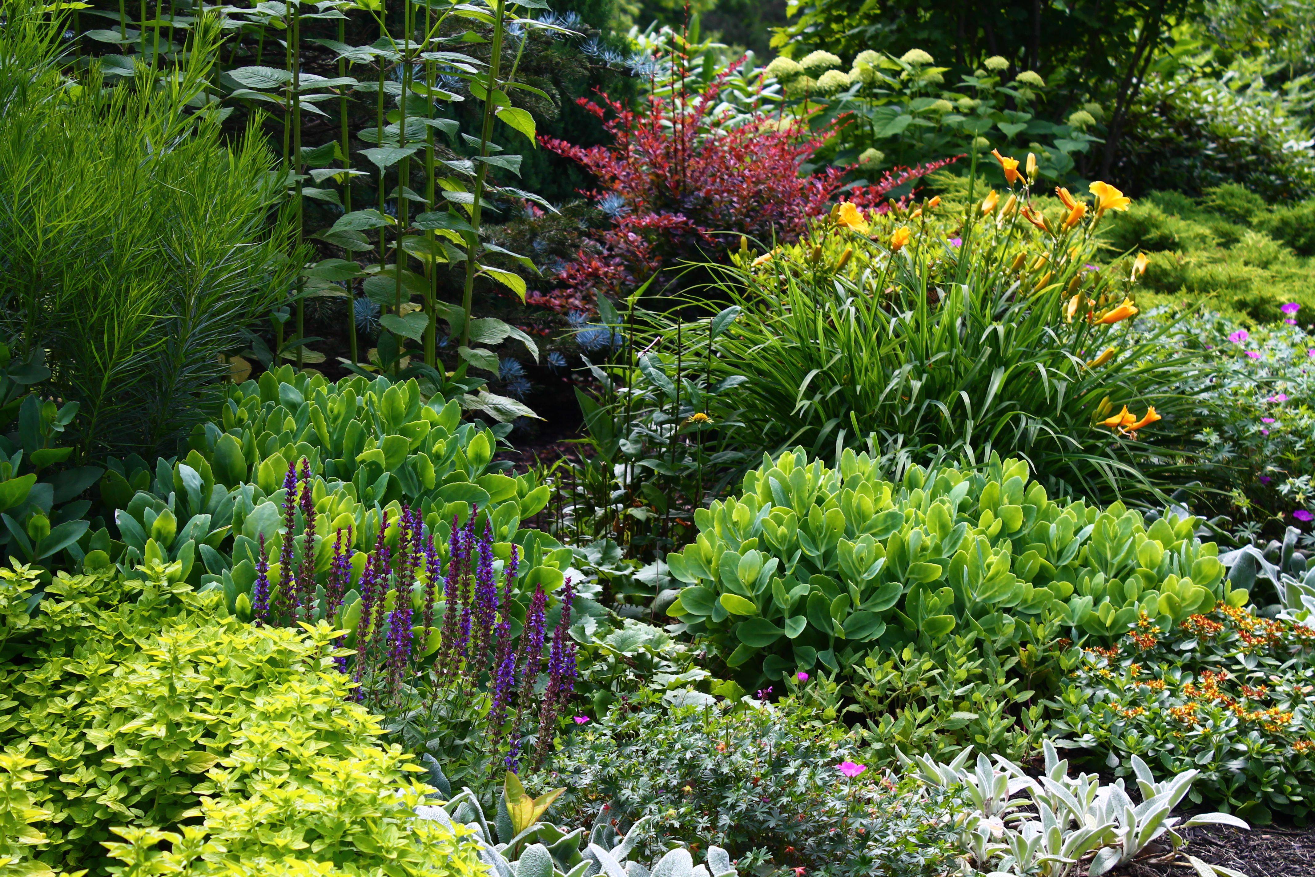 Steven Breed Garden Designs