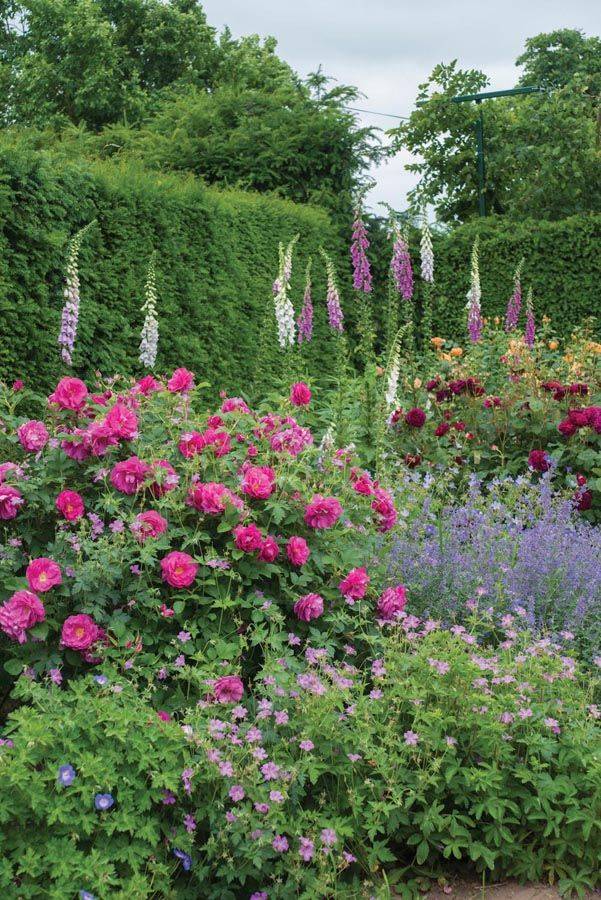 Woodland Mixed Border Traditional Landscape