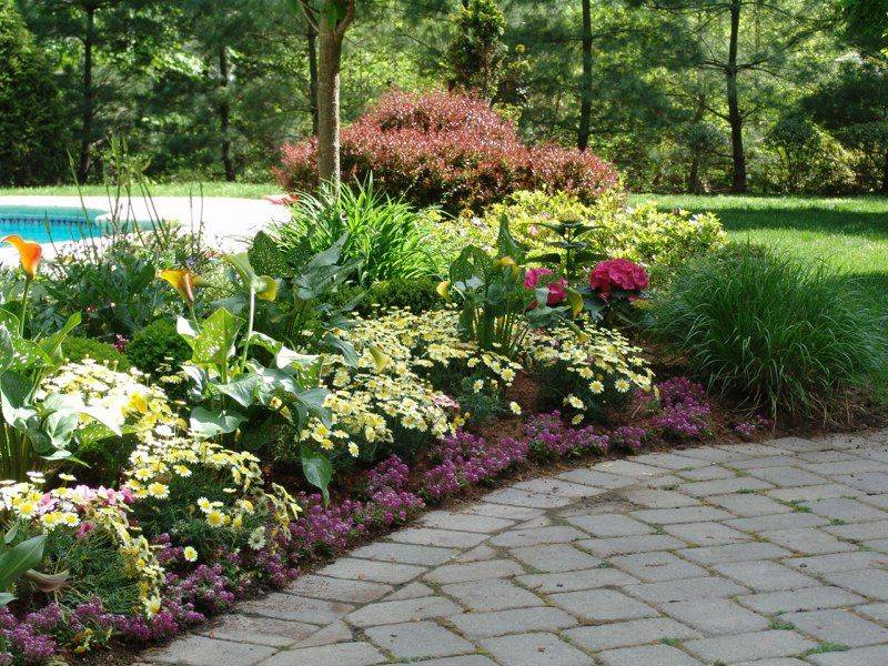 Fabulous Low Maintenance Front Yard Landscaping Ideas Page