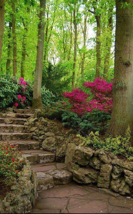 Impressive Green Garden Ideas