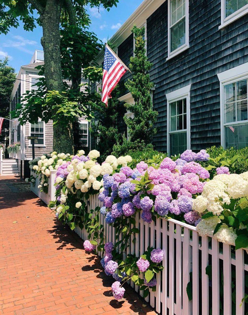 Charming Green Garden Ideas