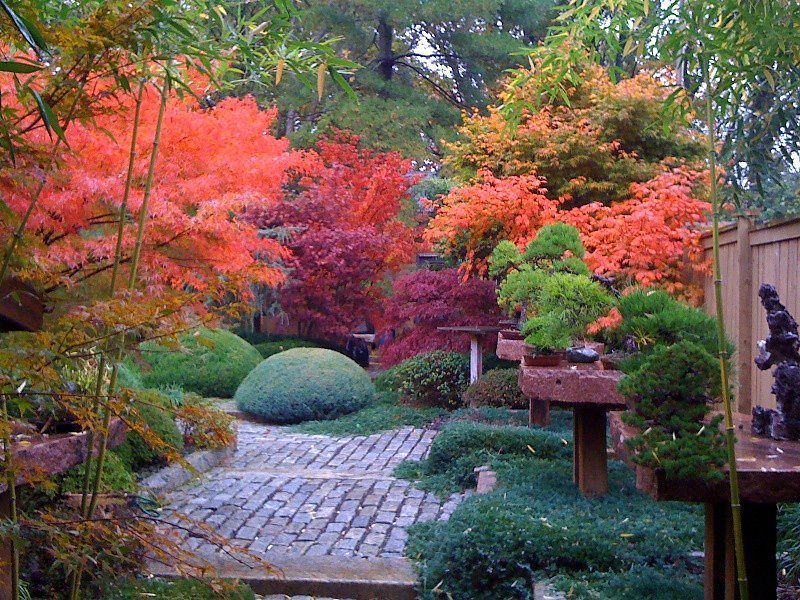Colorful Seasons Of Japan Japanese Garden In Sumiya Shimabarakyoto