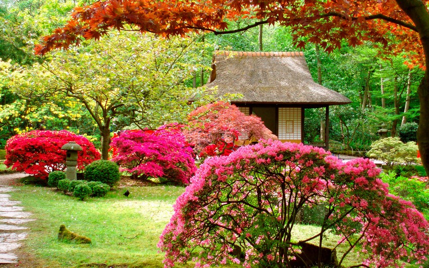 Colorful Japanese Garden