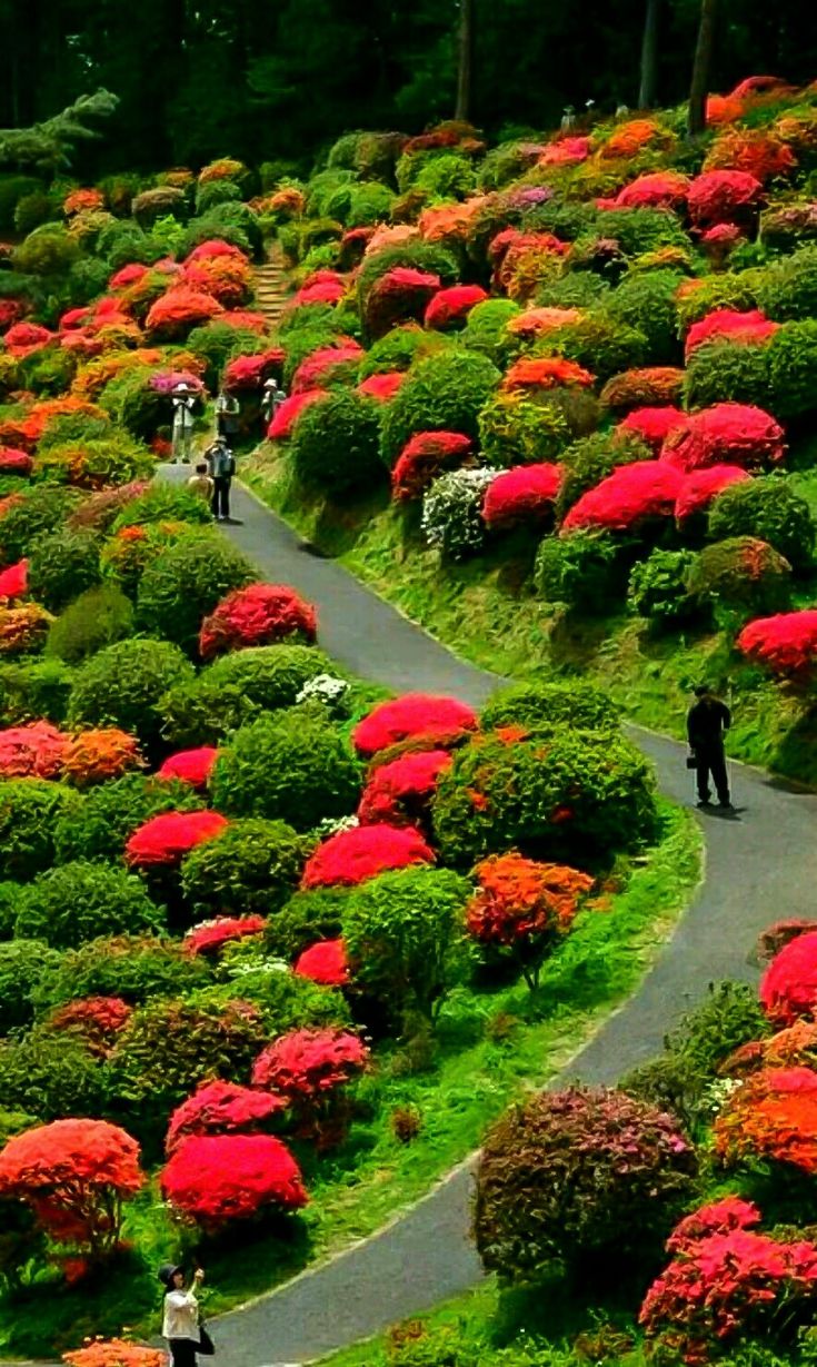 Green And Refreshing Exhibition