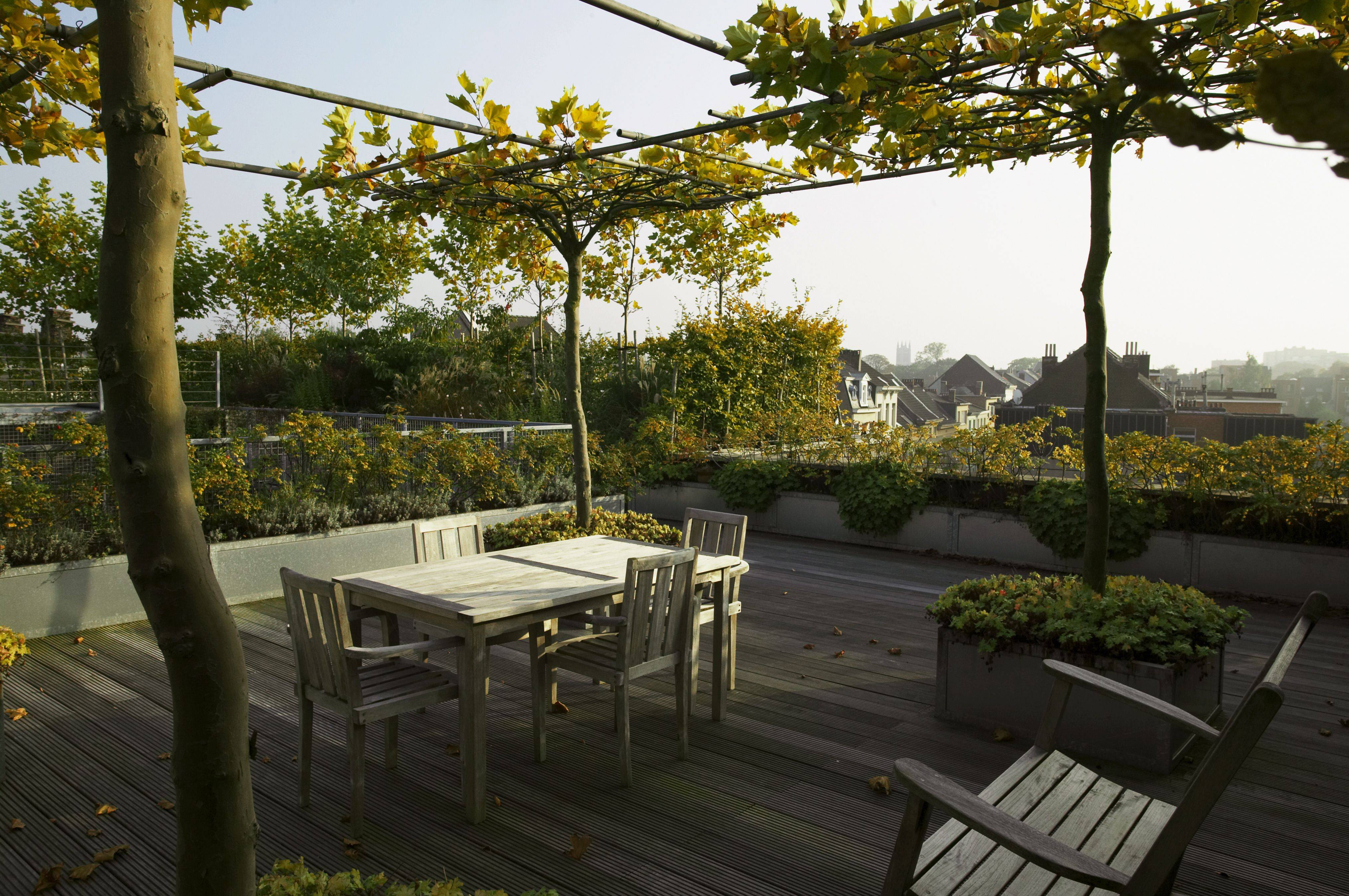 Roof Garden Design Ideas