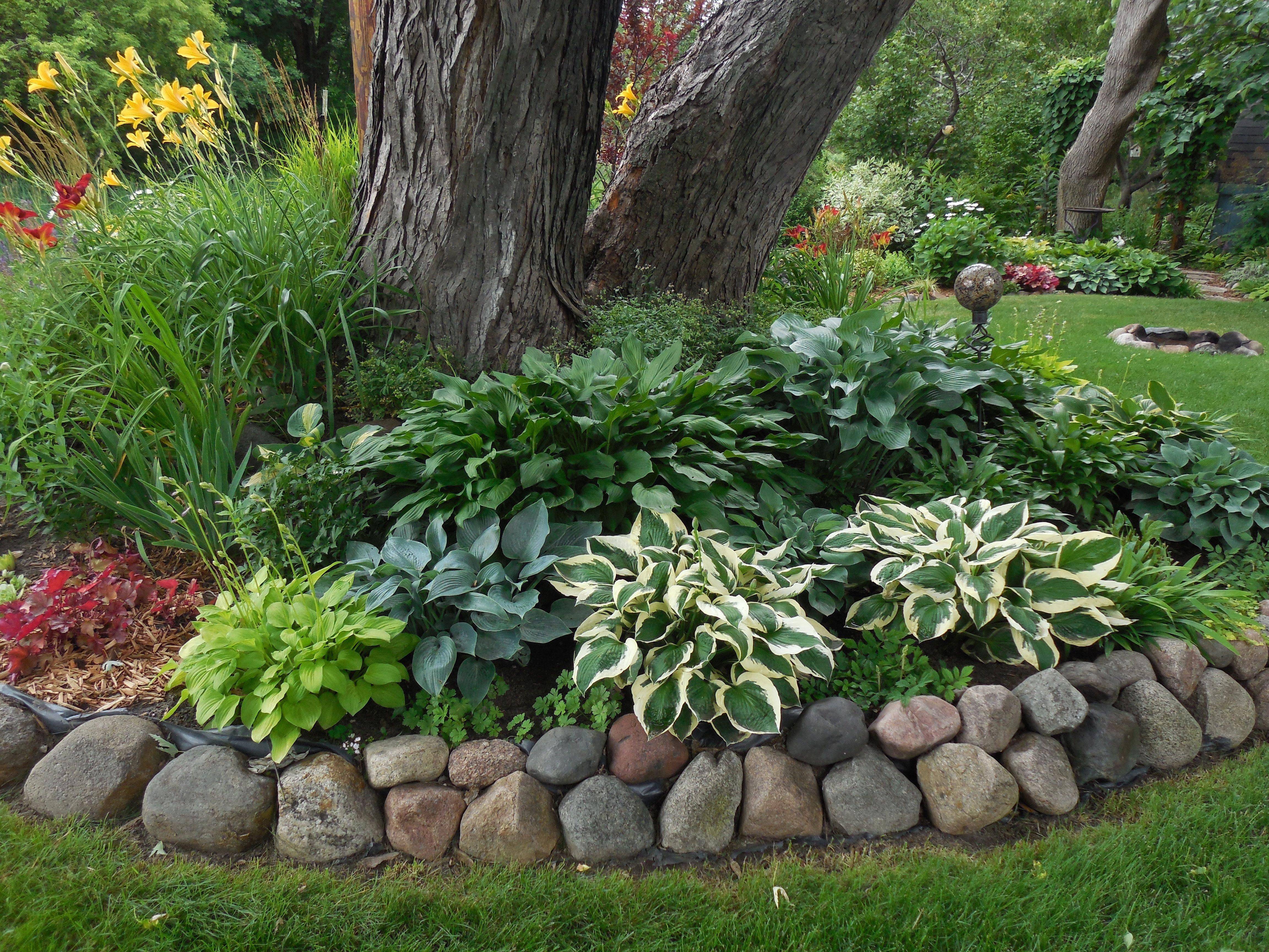 Simple Shade Garden Design Ideas