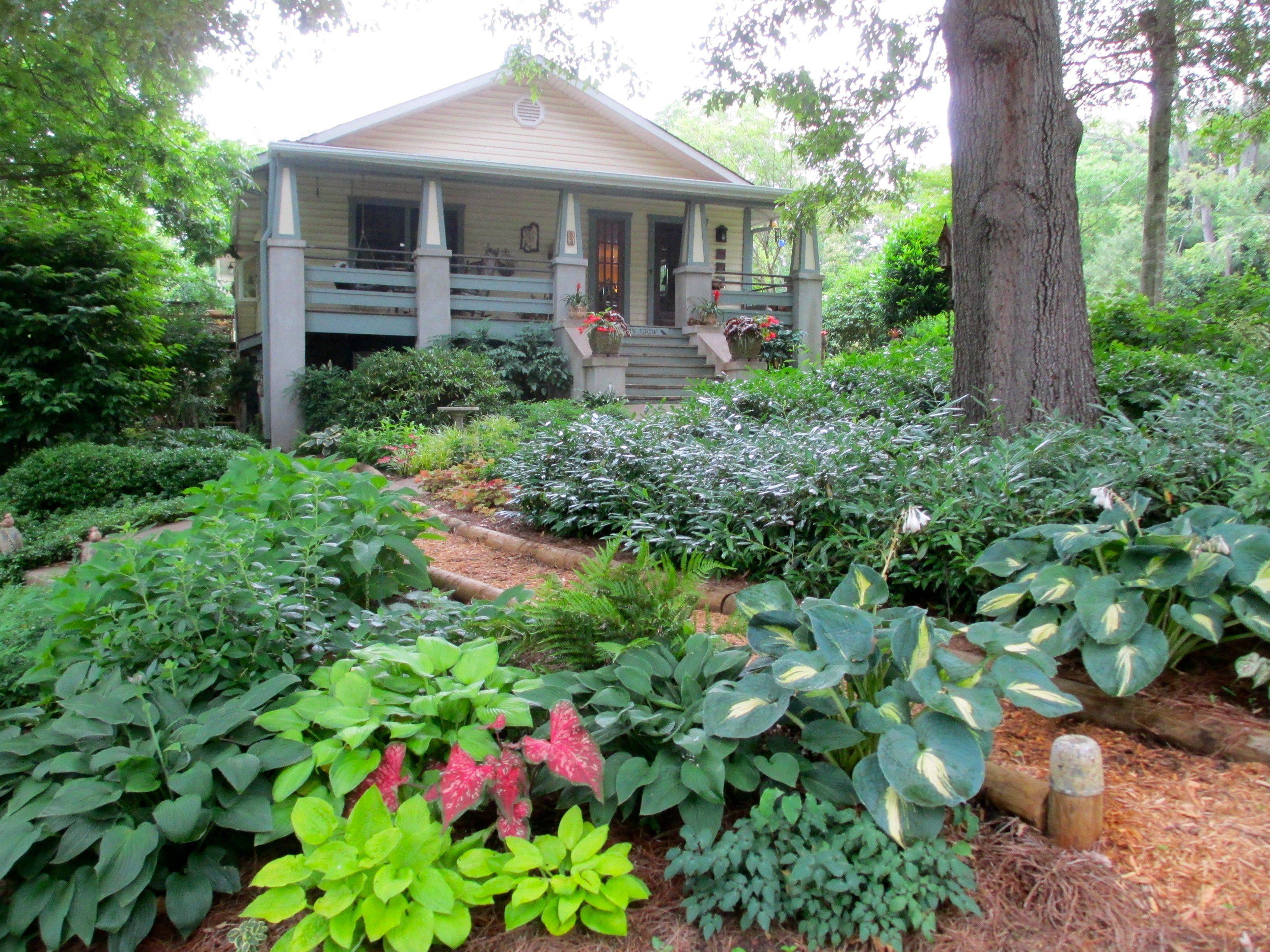 Landscaping Shade Plants