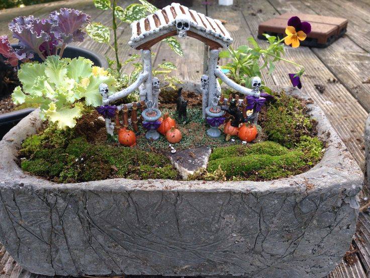 Fairy Garden Moss Ideas Whiteabstractstudio