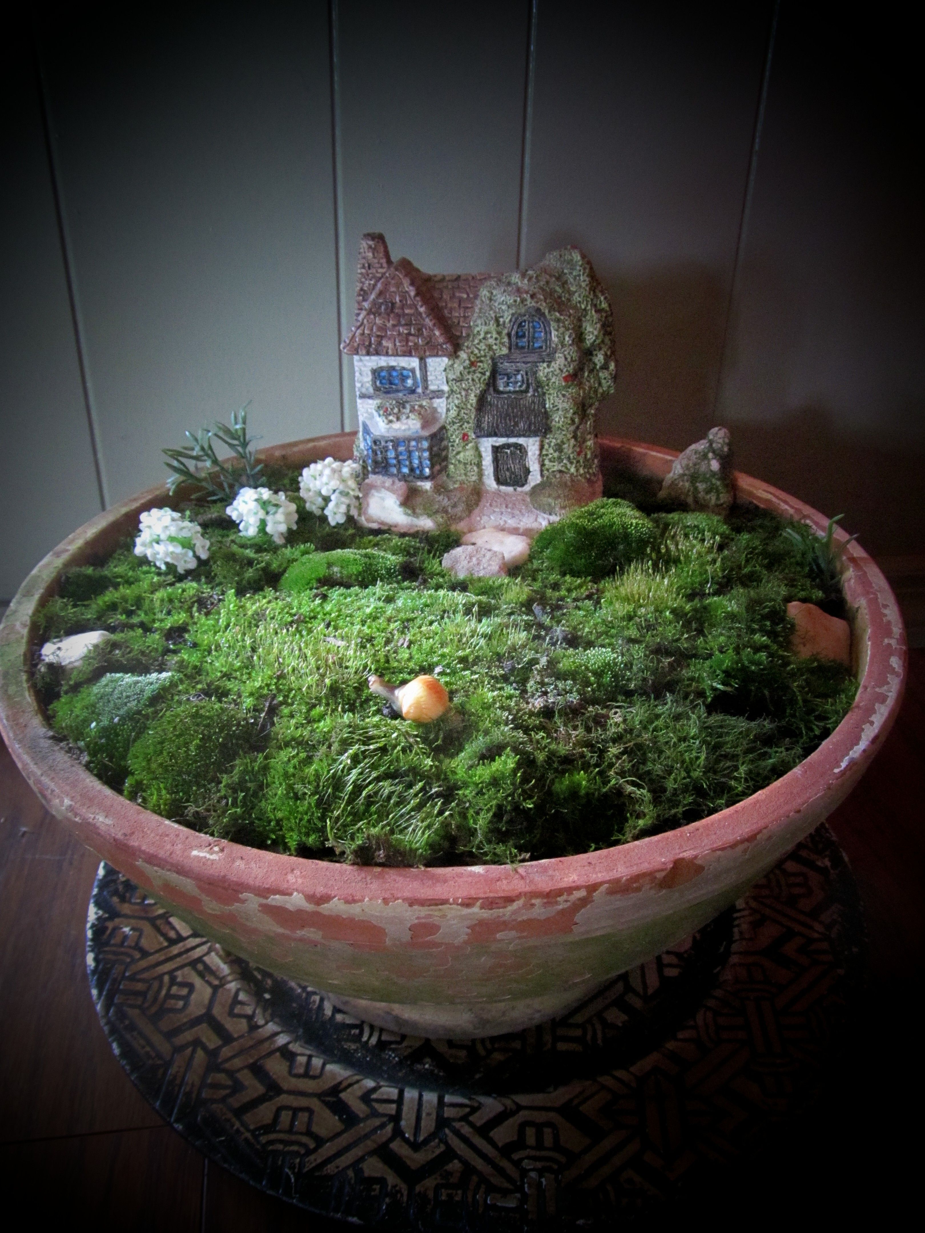 Mossgardenindoor Moss Plant