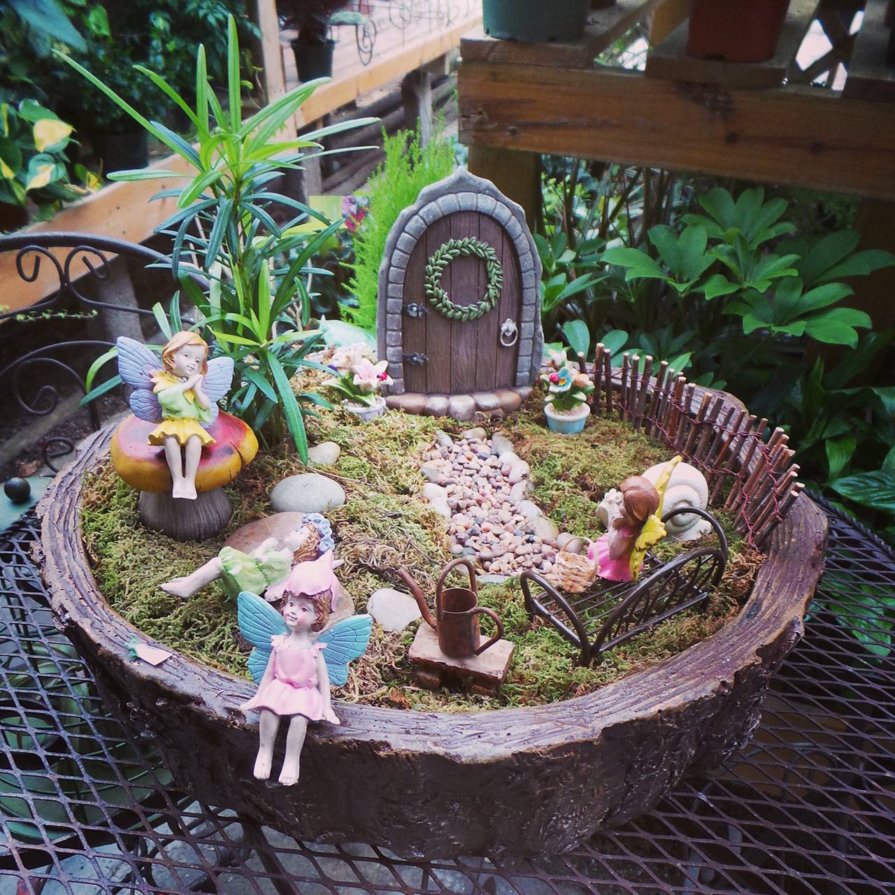 Diy Hanging Fairy Garden Fairy Garden Ideas Enchanted Forest