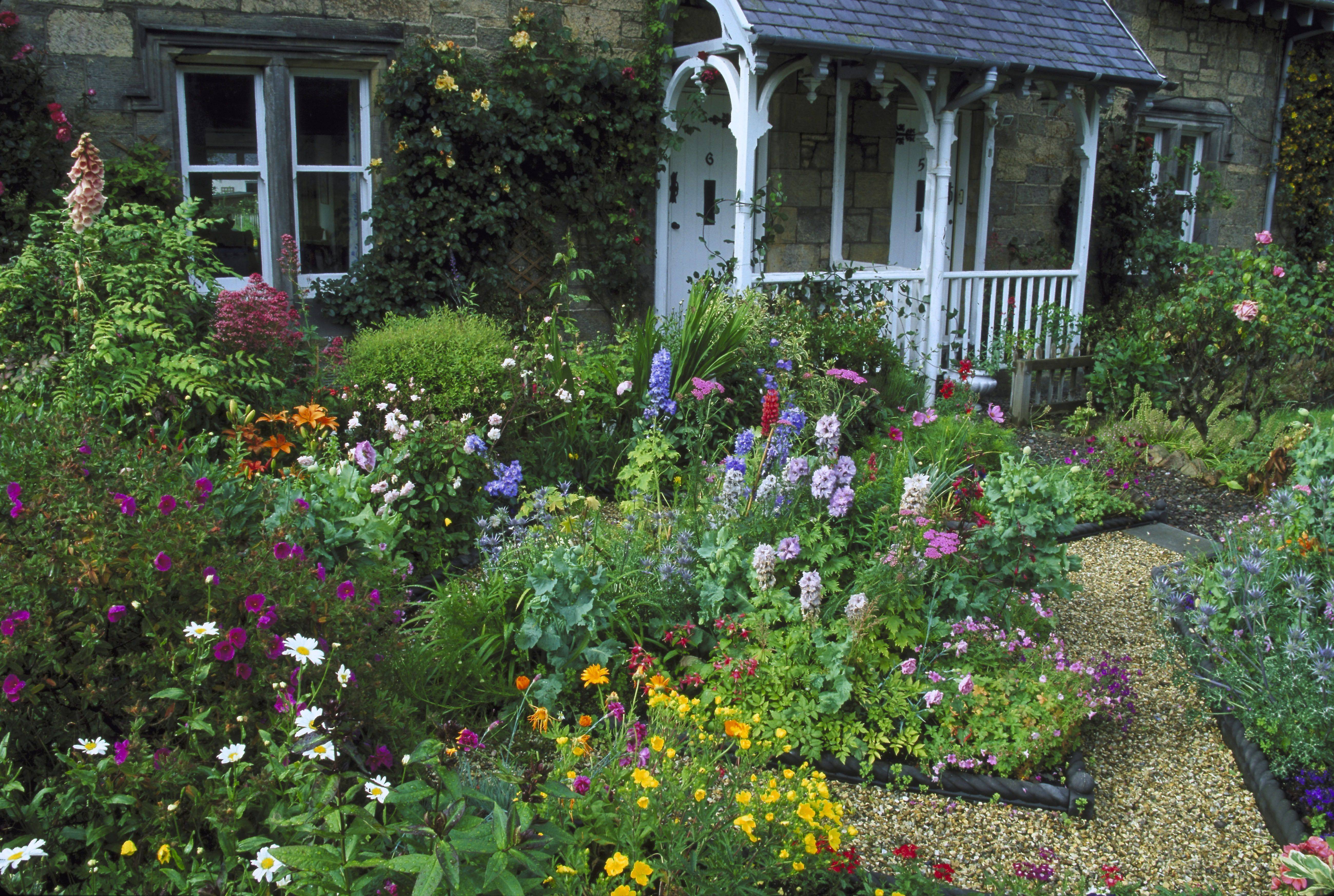 Flower Landscaping Ideas