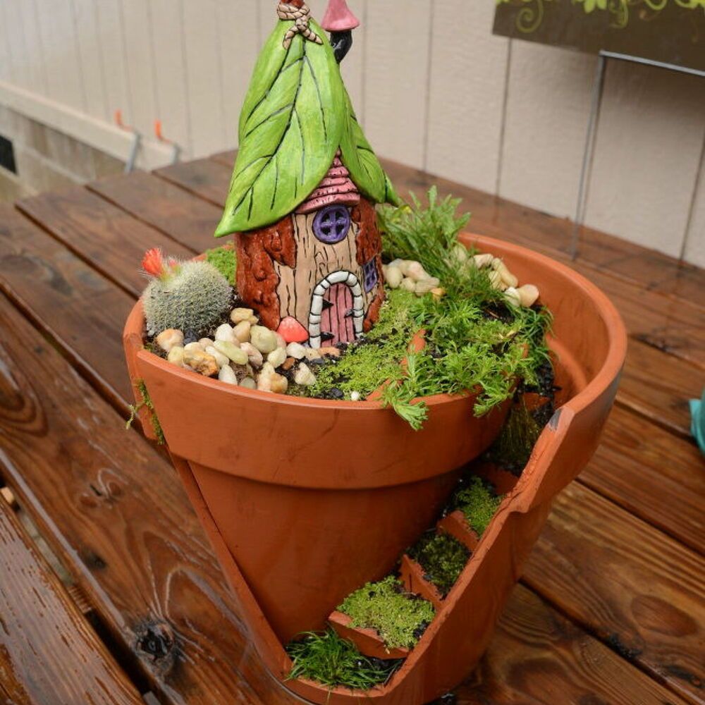 Indoor Fairy Garden