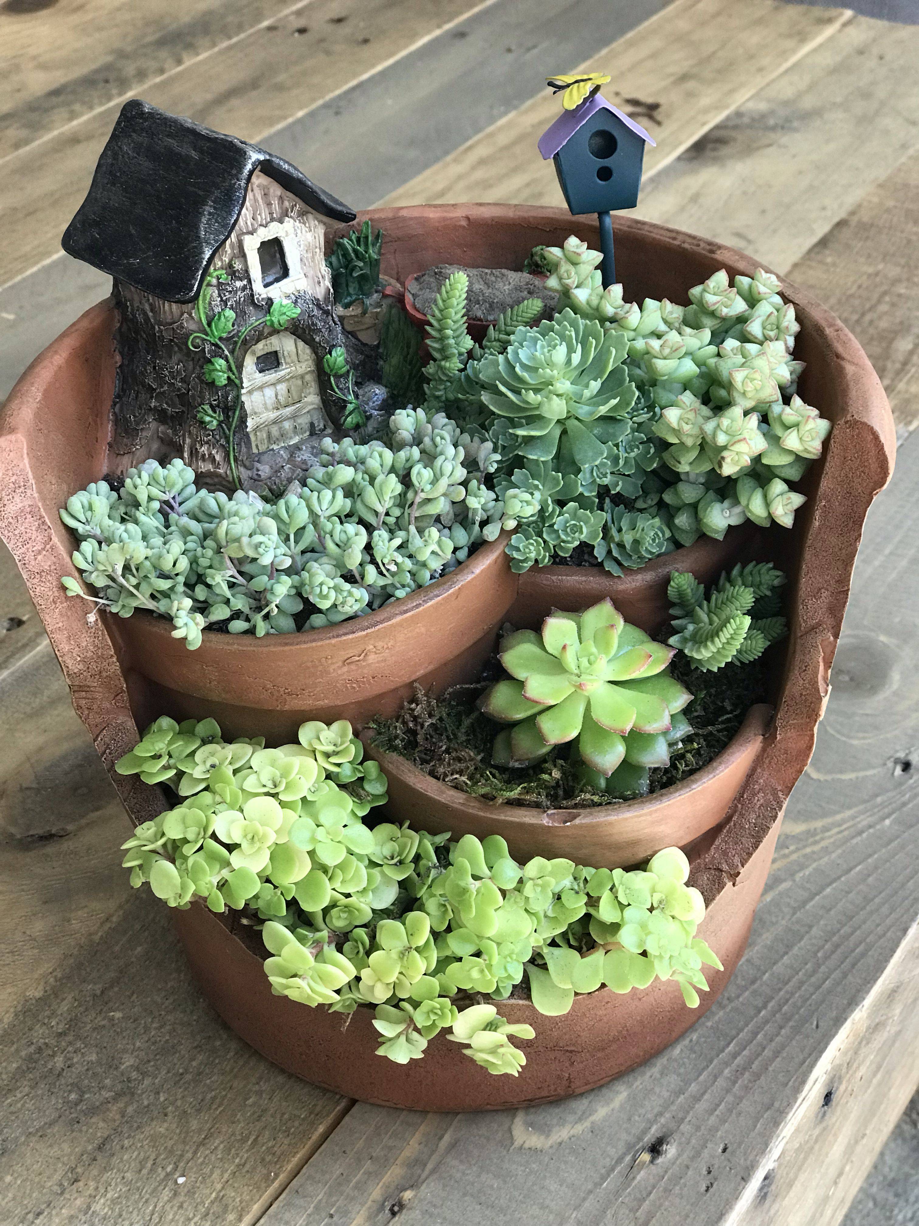 Magical Diy Succulent Fairy Garden Ideas