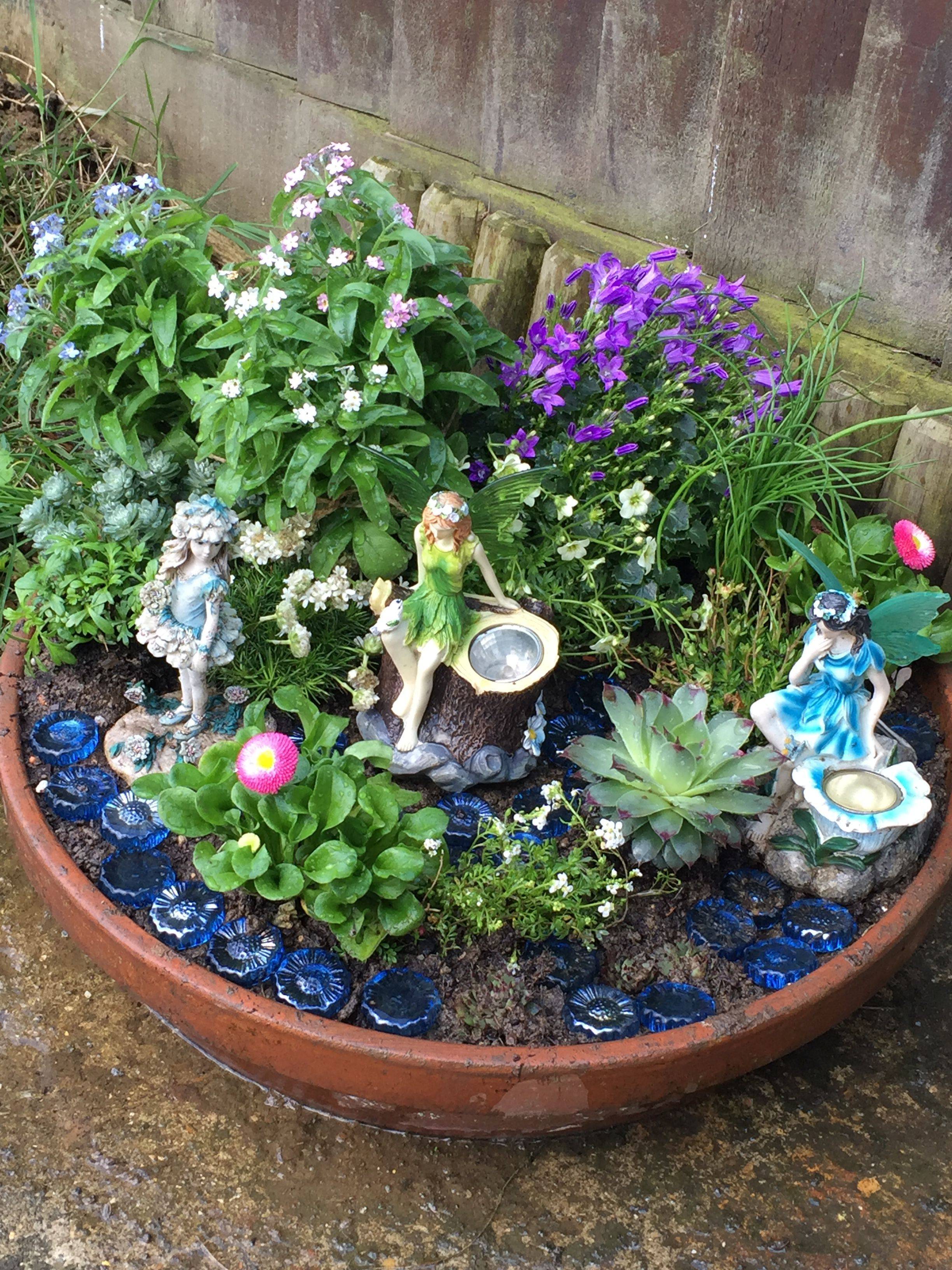 Succulent Fairy Garden Tutorial Diy Succulent Fairy Garden Fairy