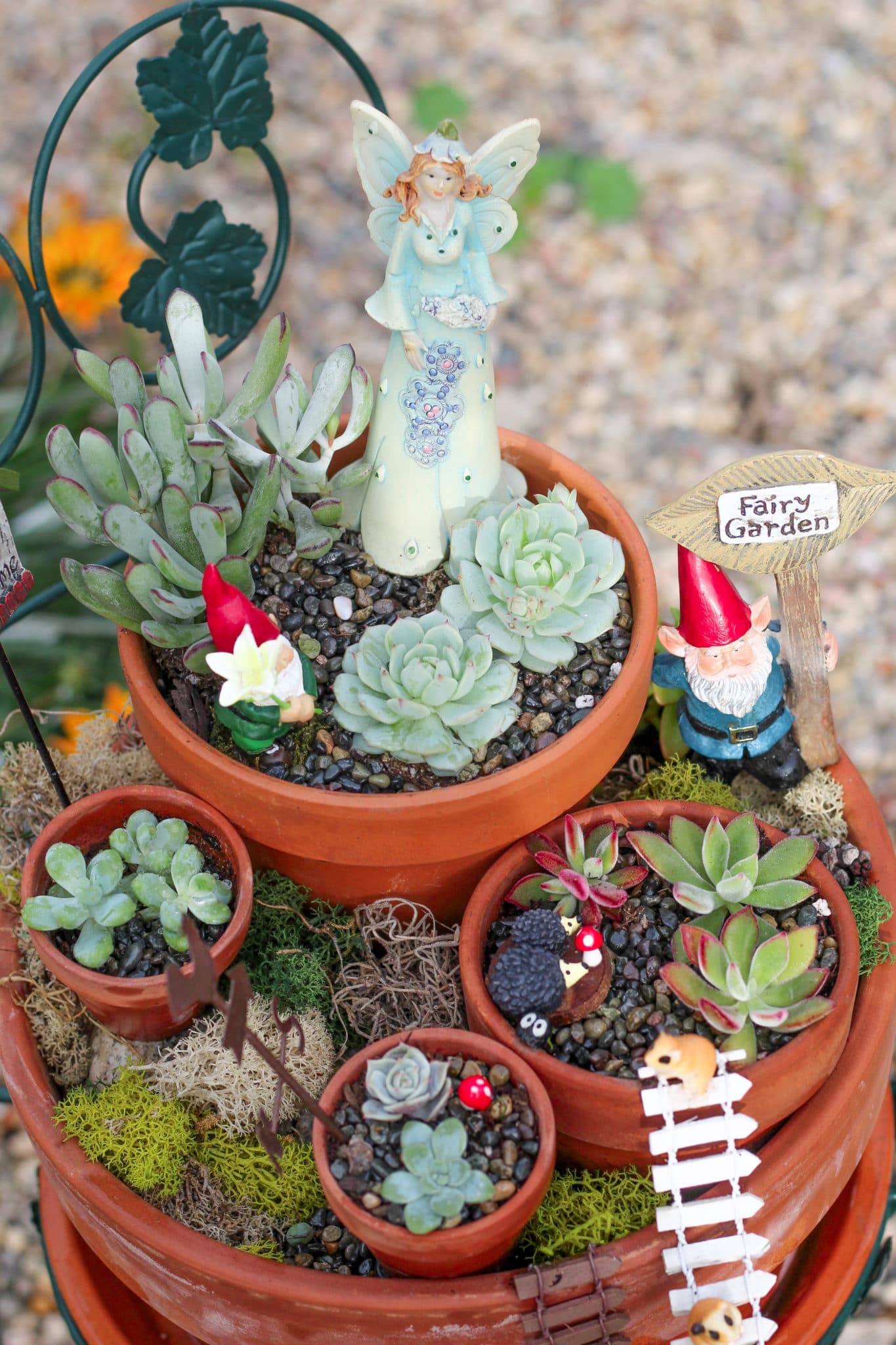 Succulent Fairy Garden Tutorial Diy Succulent Fairy Garden Fairy