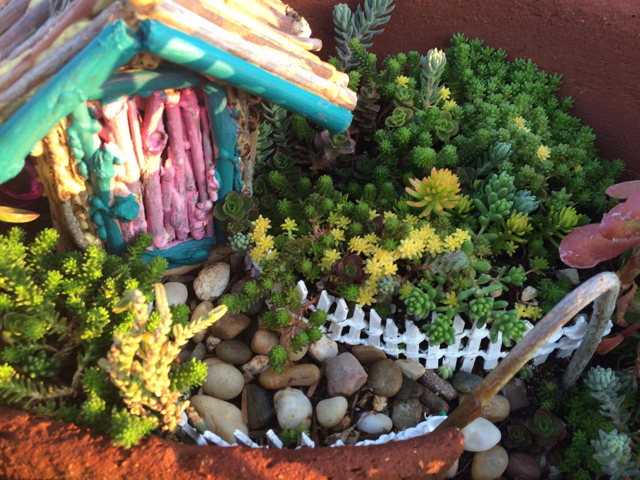 My First Faerie Garden Attempt