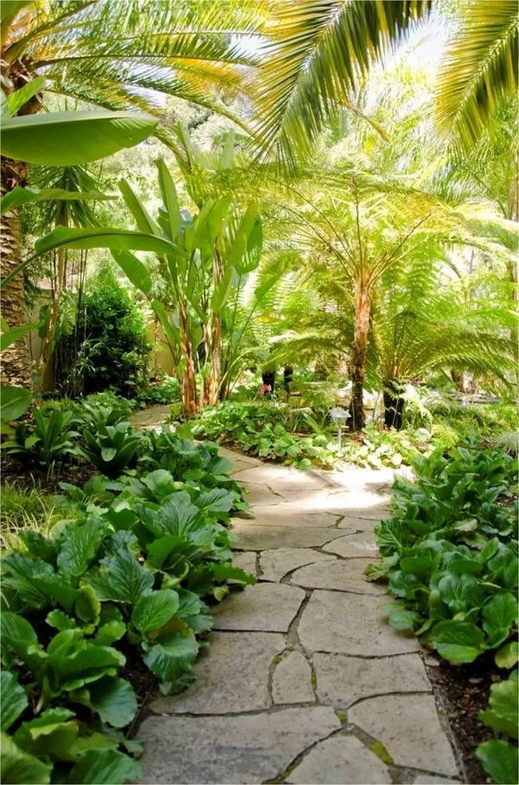 Small Tropical Backyard Ideas Simphome