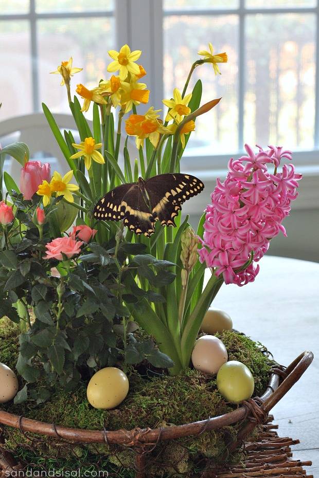 Pin On Container Gardening
