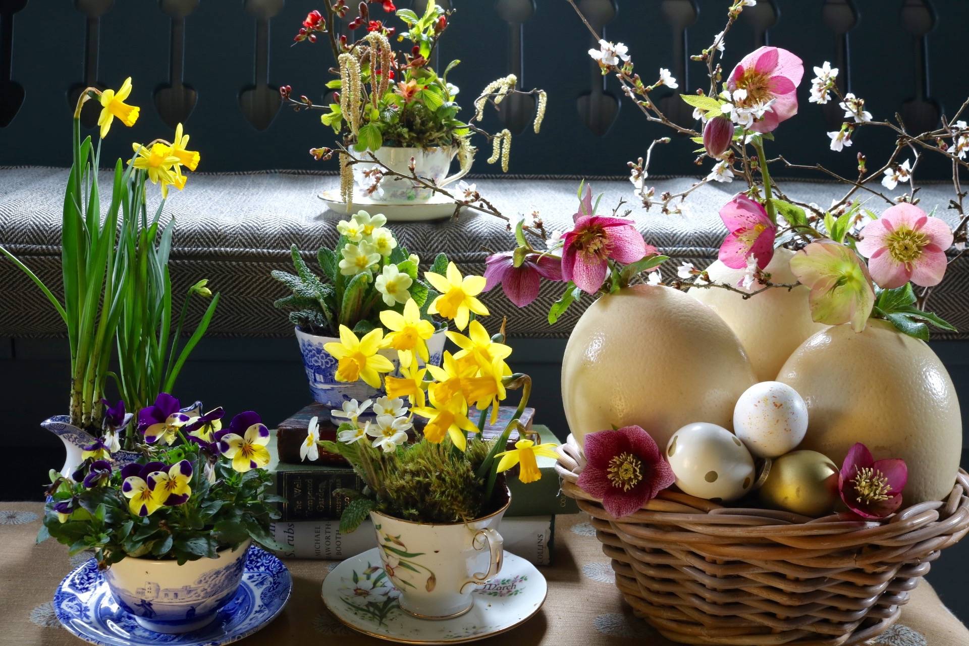 A Colorful Spring Flower Container Garden