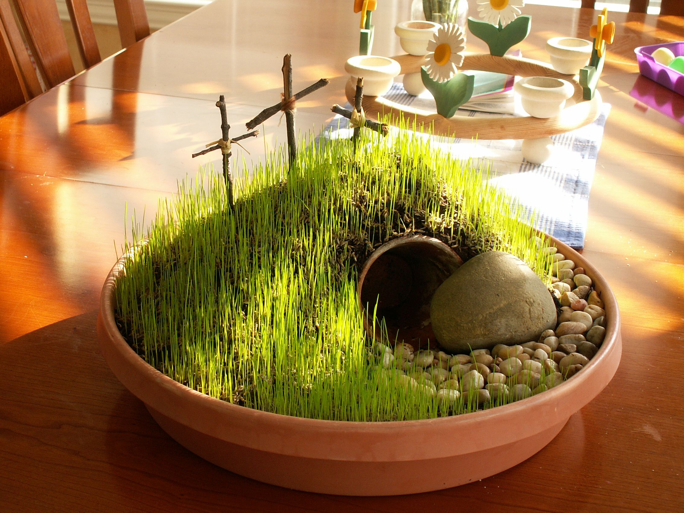A Large Plant Saucer