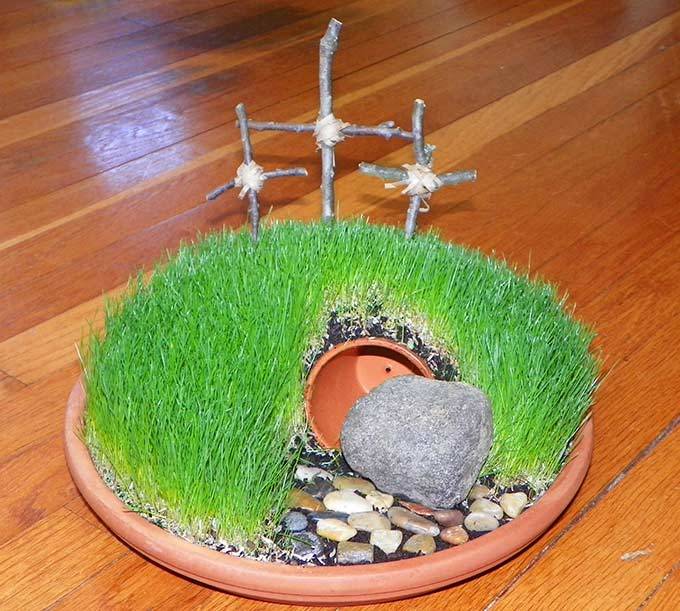Amazing Diy Miniature Terrariums