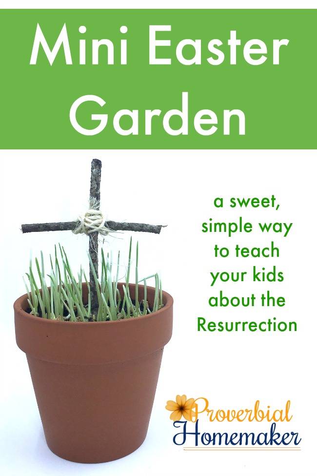 Easter Gifts Rabbit Garden Indoor Miniature Succulent Garden