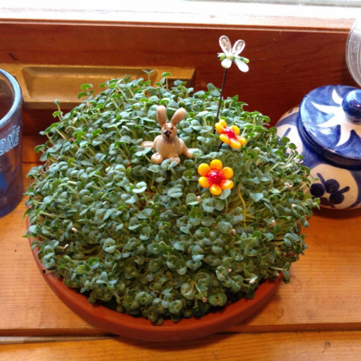 The Best Sweet Edible Garden Ideas