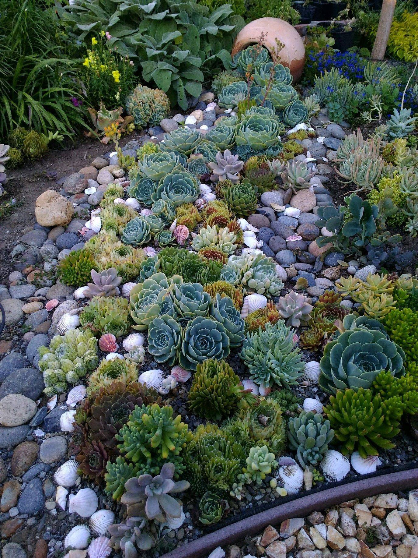 Outdoor Succulent Garden Ideas