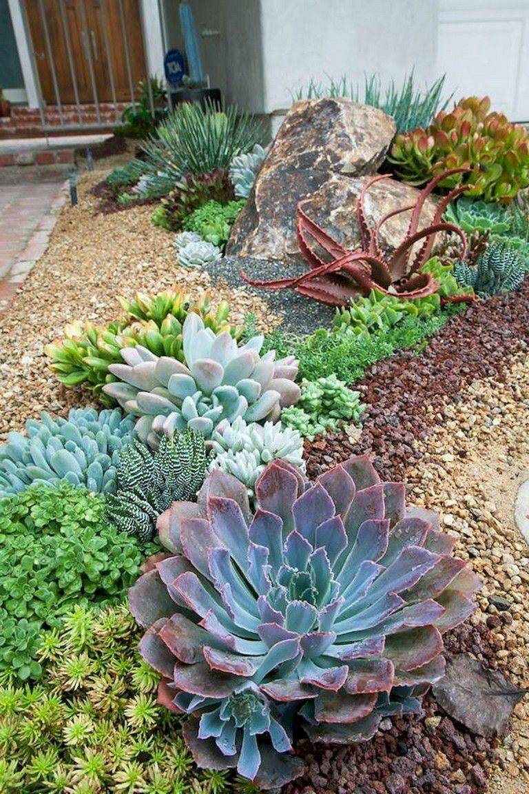 Catchy Outdoor Succulent Garden Ideas