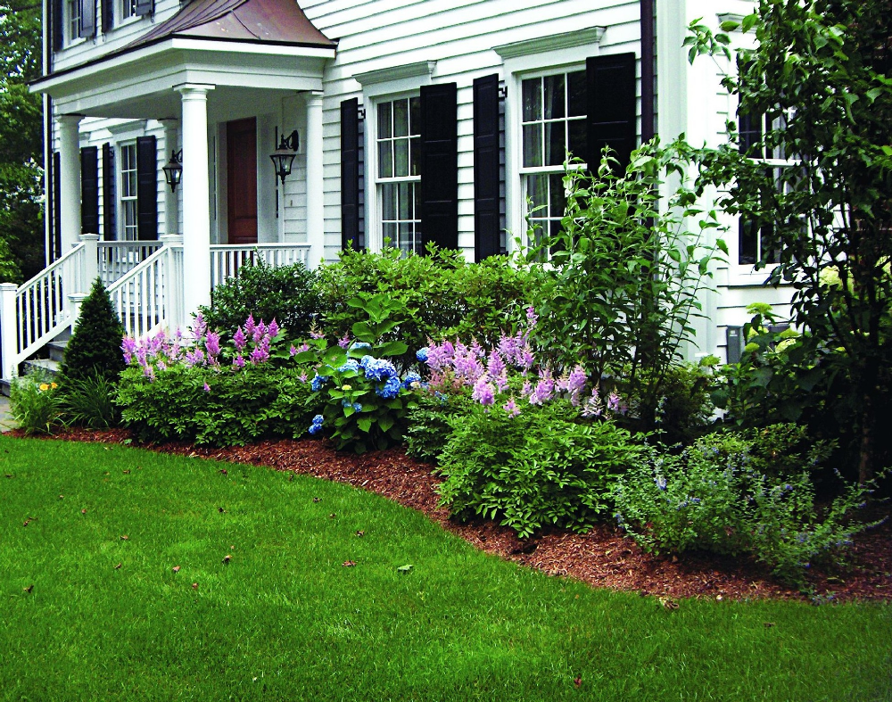 Backyard Landscaping Page