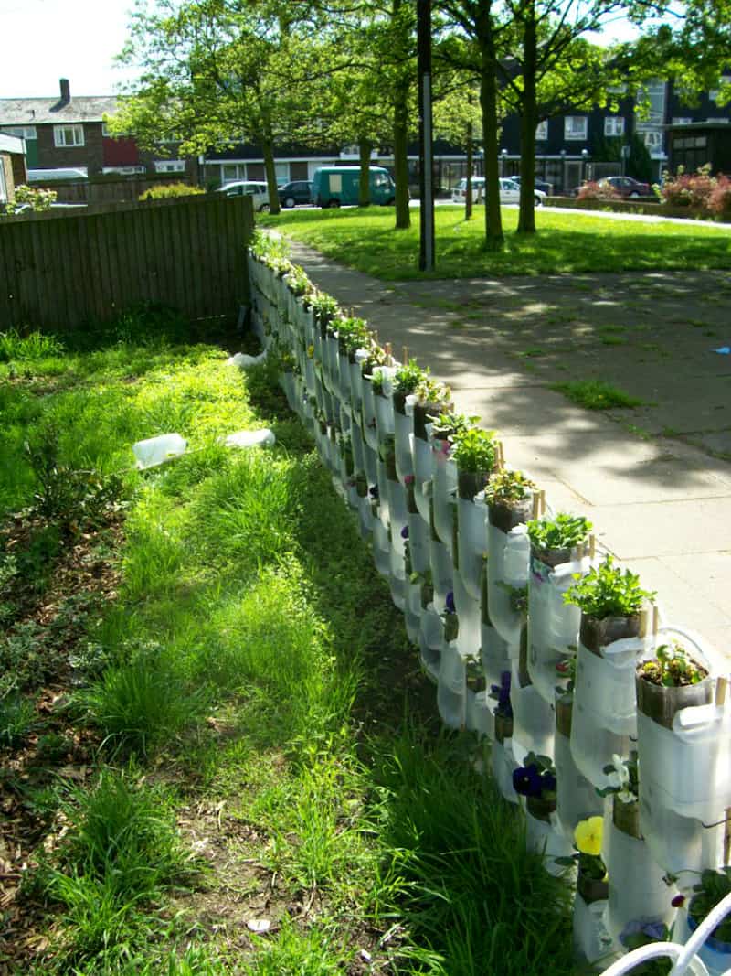 Recycled Container Gardening Ideas