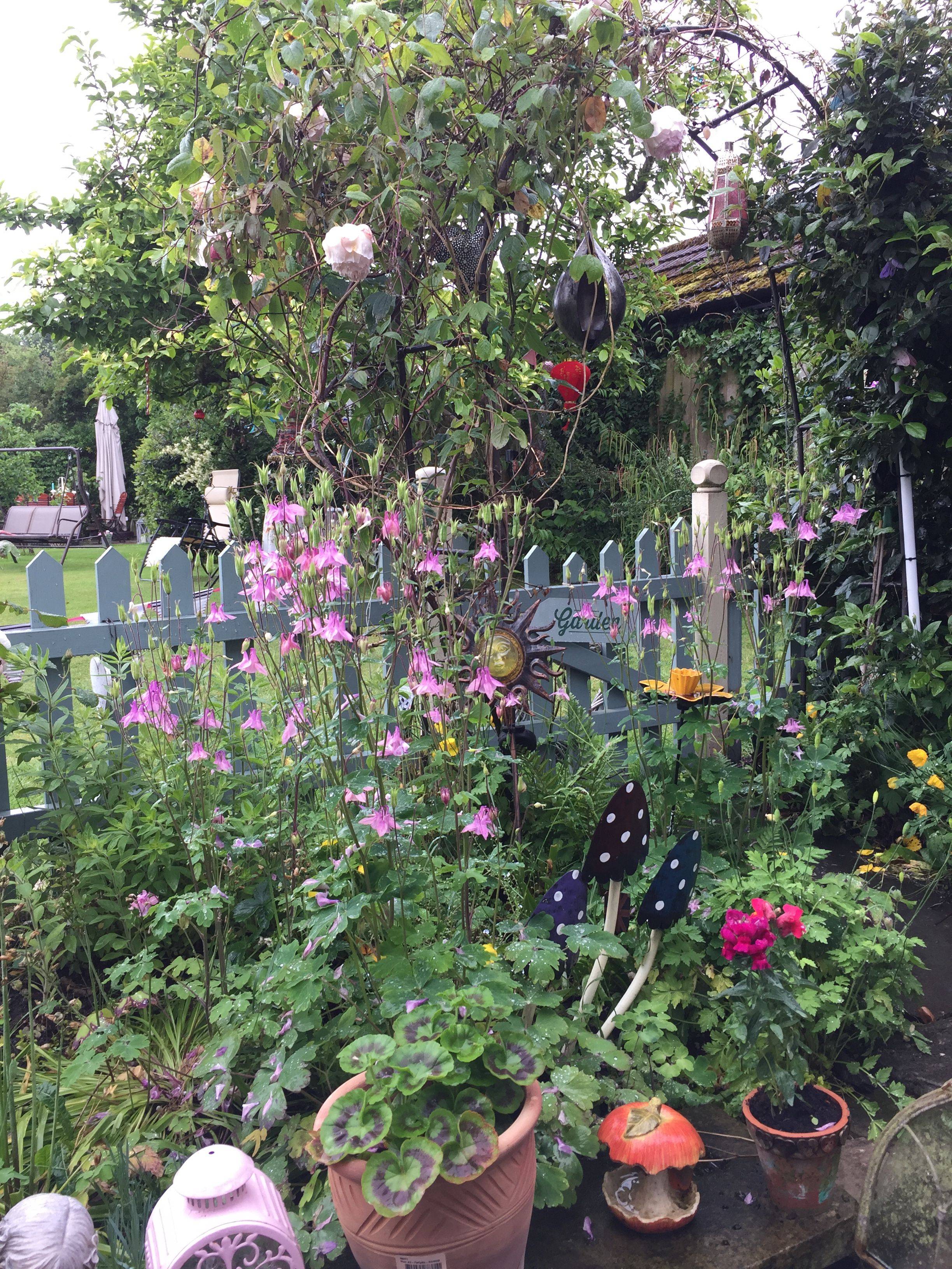 Beautiful Small Cottage Garden Ideas