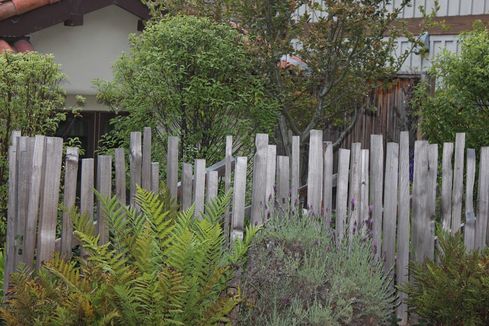 Sooo Nicecheap Picket Fencewooden Snow Fence