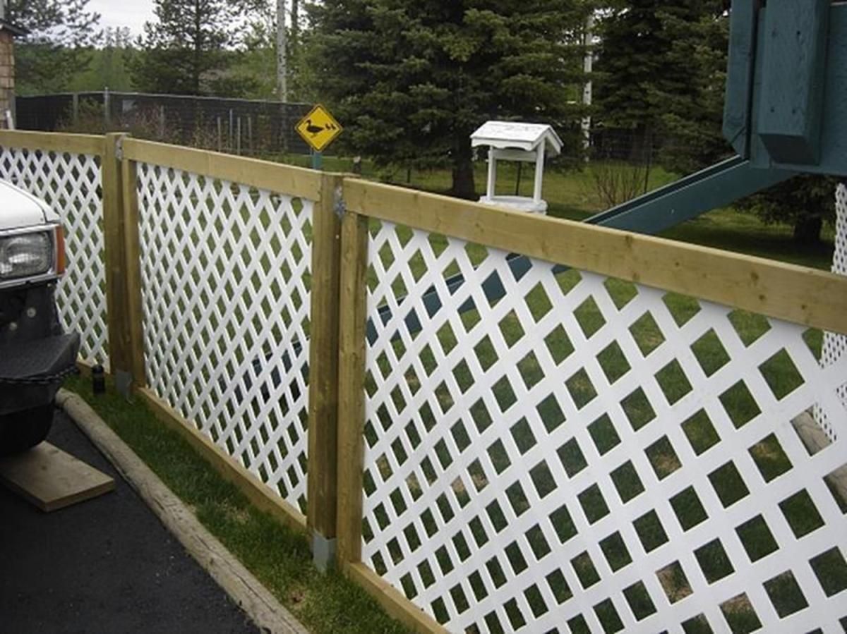 Deer Proof Garden Fencing Ideas Hawk Haven
