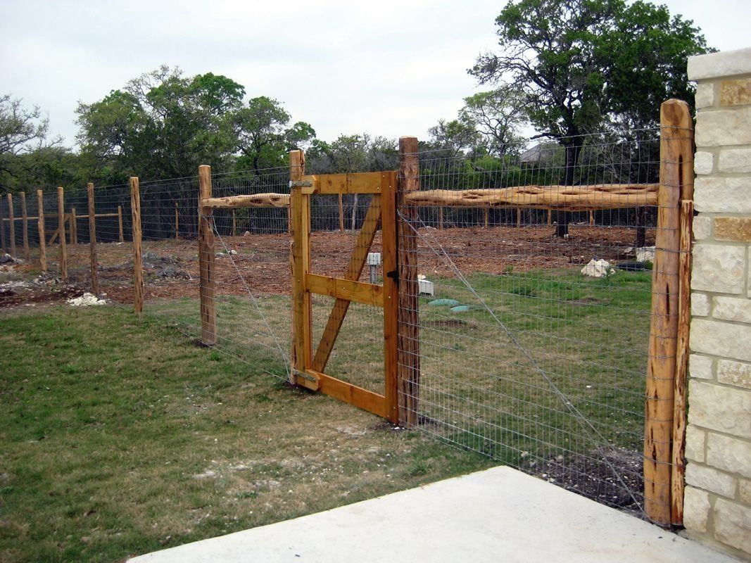 Top Deer Proof Fence Ideas