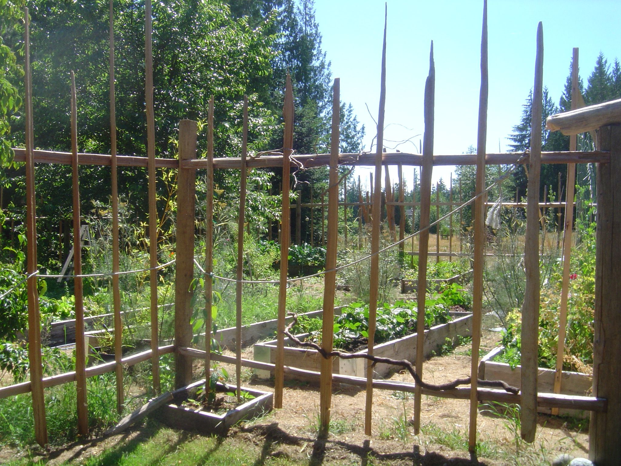 Top Deer Proof Fence Ideas
