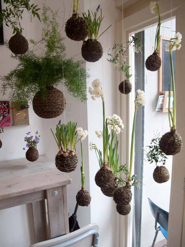 Mini Indoor Garden Ideas