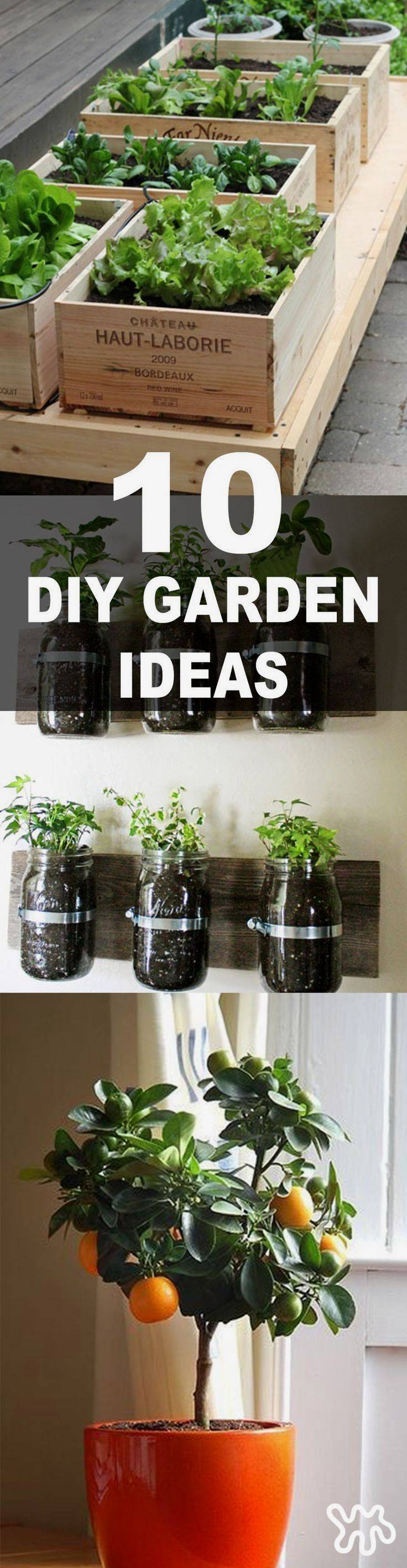 Vertical Hydroponics Gardening Ideas