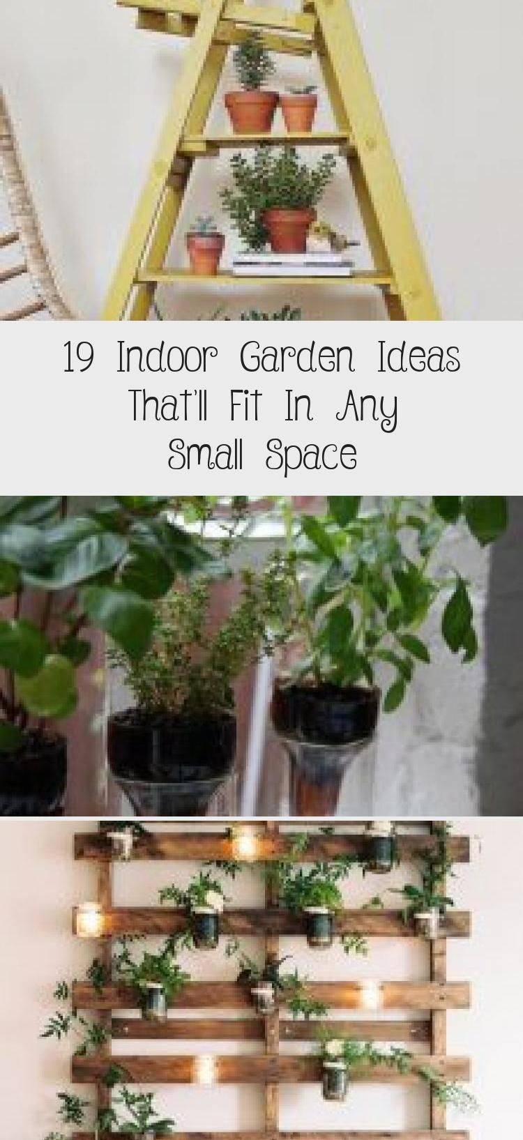 Your Indoor Mini Garden