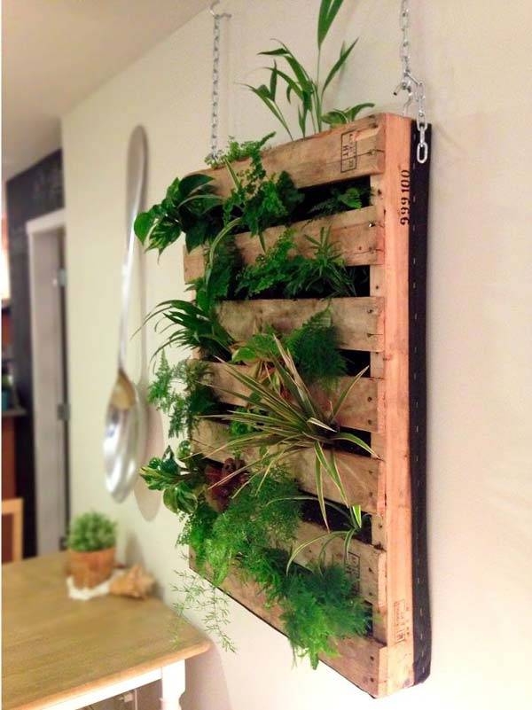 Your Indoor Mini Garden