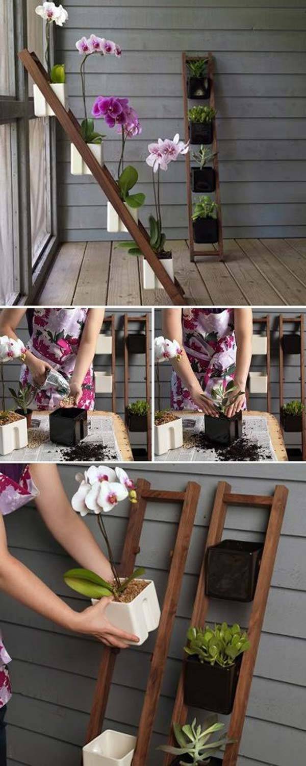 Your Indoor Mini Garden