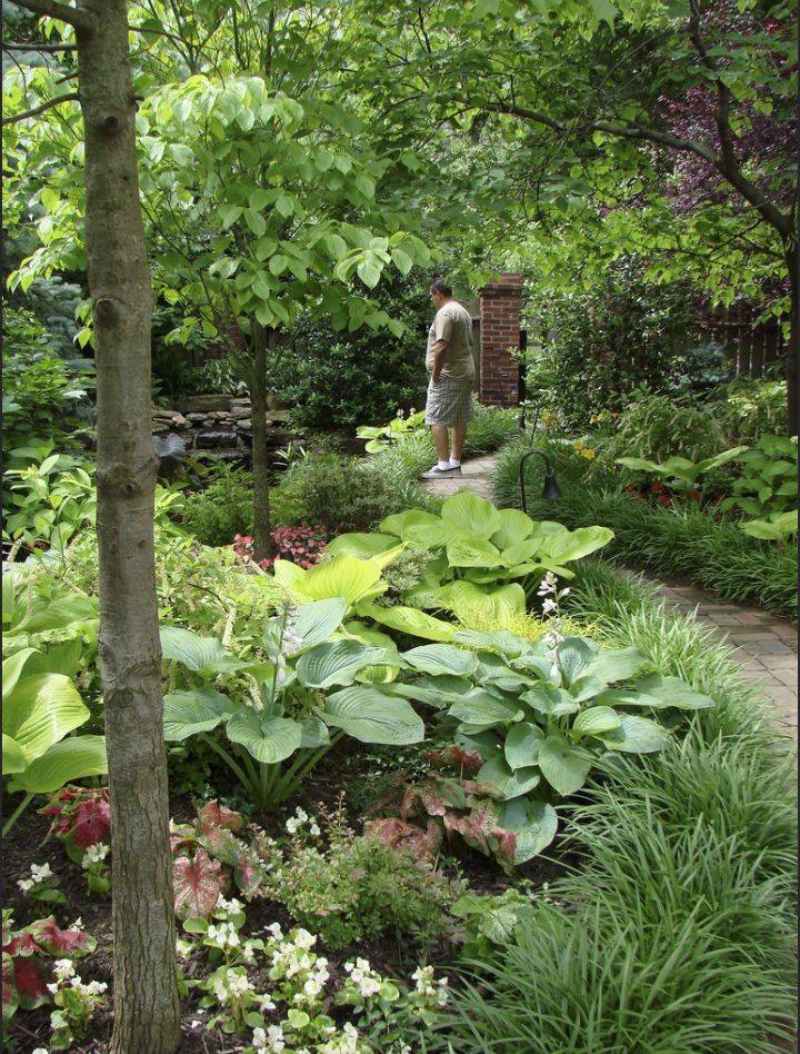 23 Under Shade Tree Garden Design Ideas For This Year SharonSable
