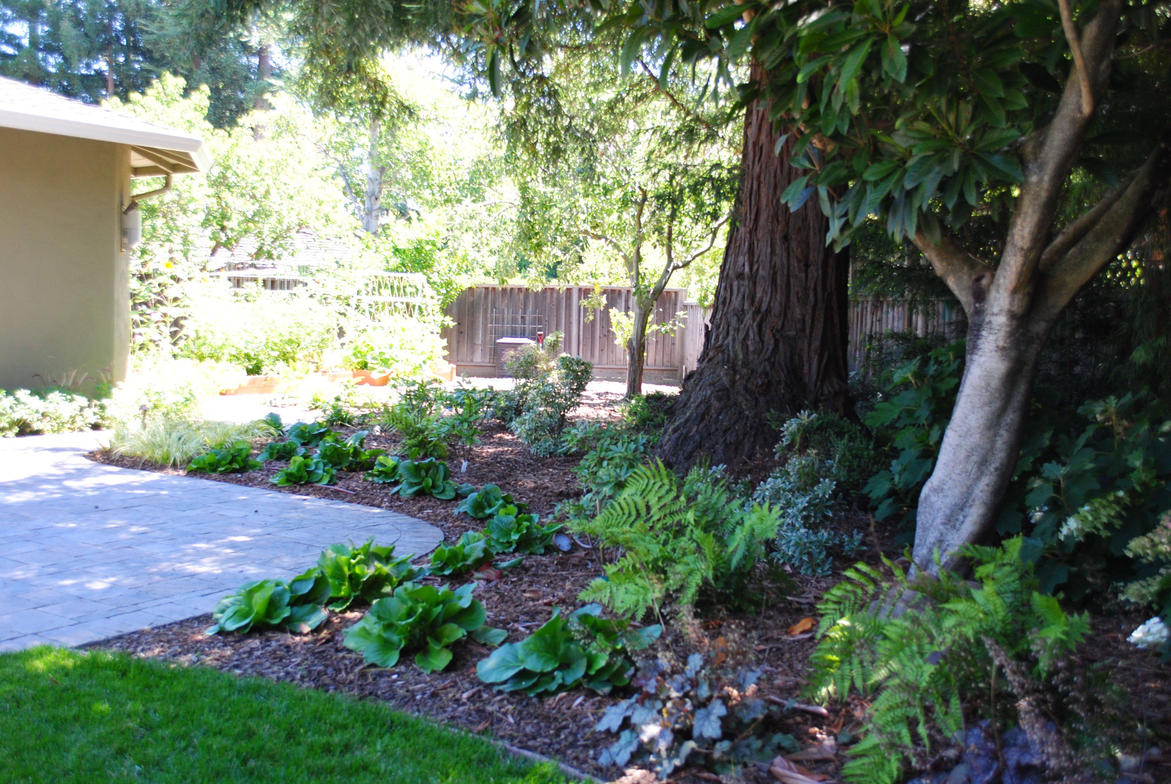 23 Under Shade Tree Garden Design Ideas For This Year SharonSable