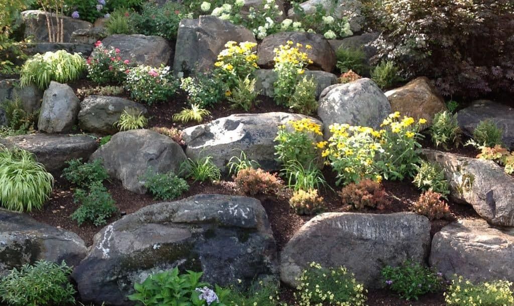 Tree Garden Ideas