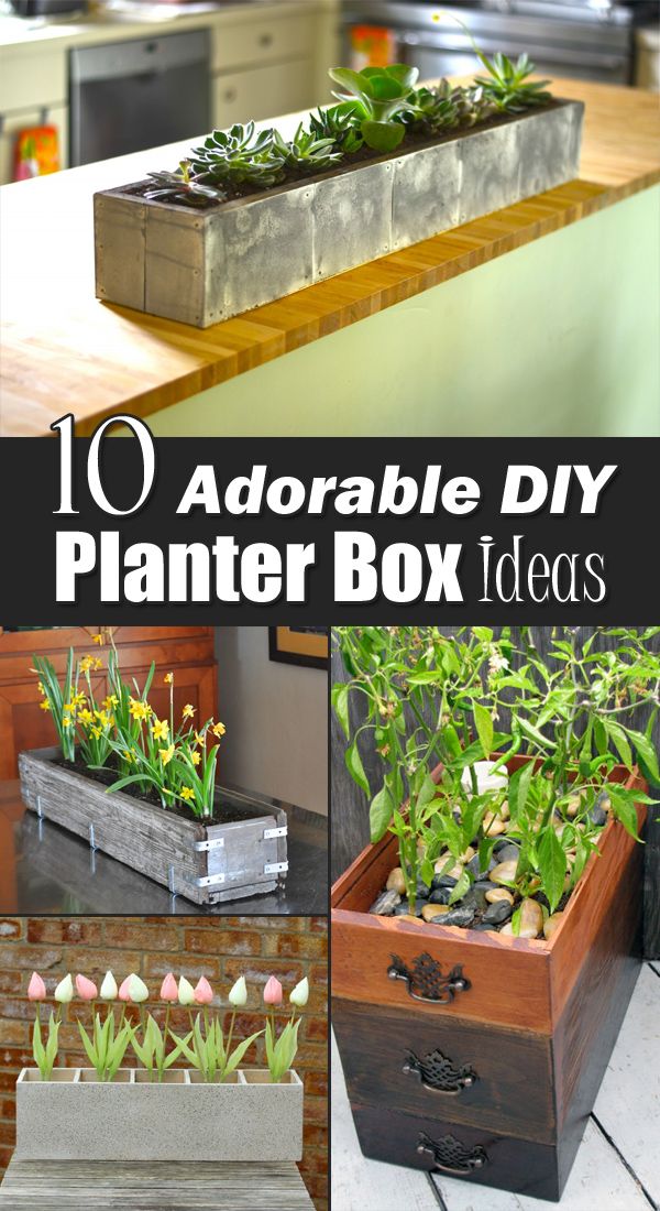 Flower Planter Box Diy Garden