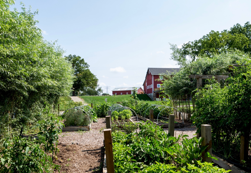 A Landscape Gardenista