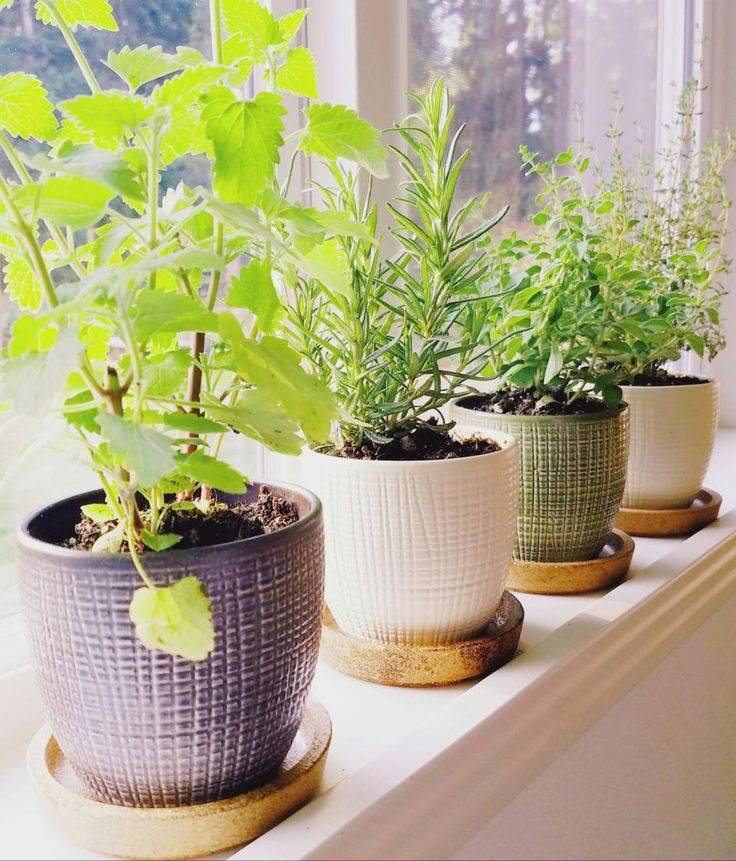 Kitchen Herb Planter Ideas