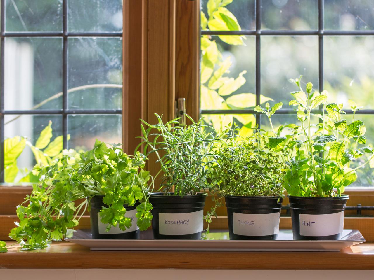 Windowsill Herb Garden Pots